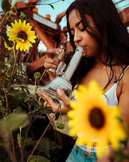 Woman lighting a GRAV bong in a sunflower field for an article explaining how a bong works.